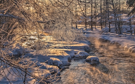 Forest River - winter, nature, forest, river