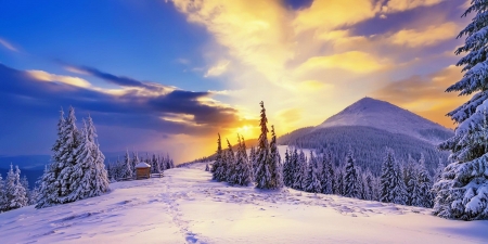 Winter Landscape - winter, nature, tree, snow