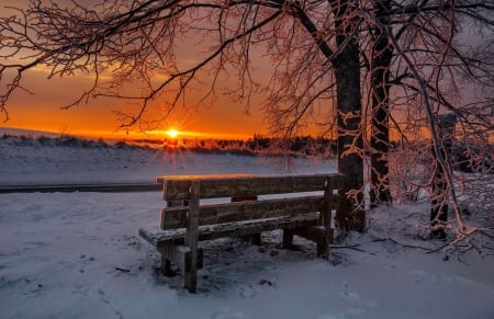 Winter sunset - sky, trees, park, winter, bench, sunset, glow, fiery, frost, snow, beautiful, rest