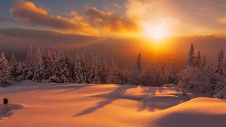 Winter fire - trees, winter, beautiful, snow, landscape, valley, mountain, glow, sunset, rays, fire, fiery, sky