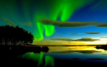 Aurora in Australia - aurora, trees, nature, sea, lake, stars, reflection, sky