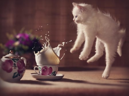 Ups! - milk, creative, pink, cat, pisica, white, animal, kitten, funny, cute, situation, jump, cup