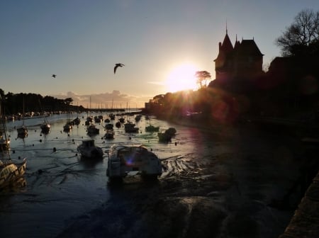 Sunset Over the  Castle - nature, trees, castle, harbor, sunset, sea, birds