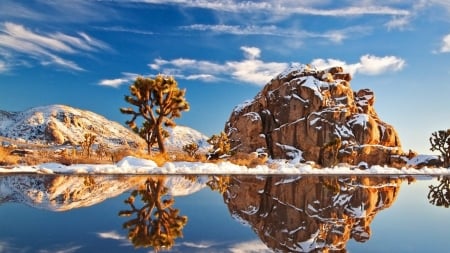 Joshua Park - nature, lake, trees, reflection, clouds, snow, park, joshua