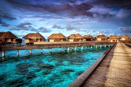 Beach Huts at Tropical Hotel - beach, tropical, hotel, at, huts