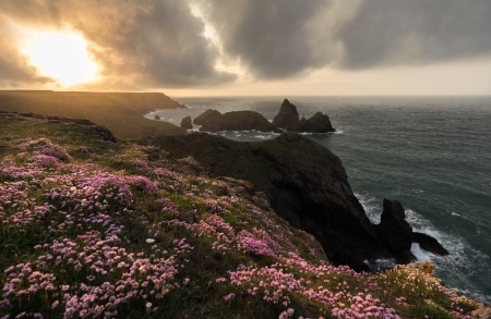 Flowers on Cloudy Coast - on, Coast, Flowers, Cloudy