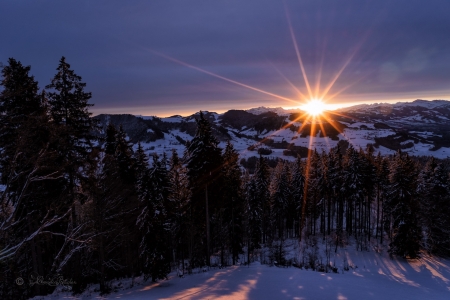 Winter - winter, nature, sky, snow