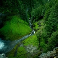 Waterfall in Forest