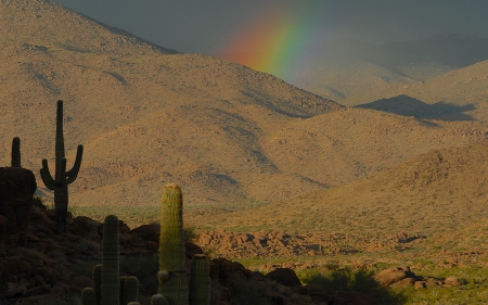 Old West - cactus, rainbow, saguaro, desert, mountains, old west