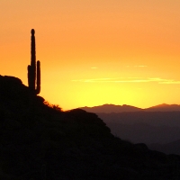 Arizona Sunset