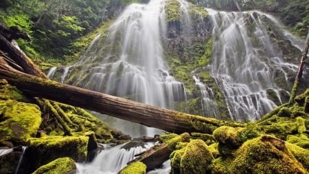 Cascading-Waterfall - nature, tree, moss, waterfall, cascading