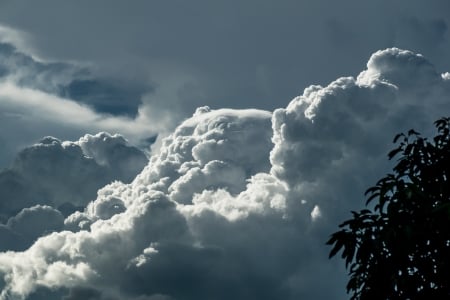 Cloud - Cloud, nature, tree, sky