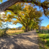 Dirt Road at Sunrise