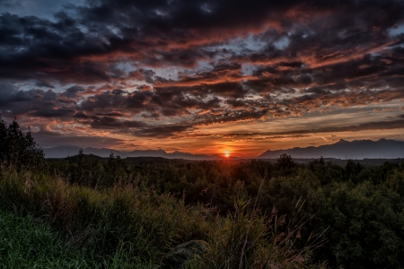 Sunset - sky, plants, clouds, tree, sunset, nature