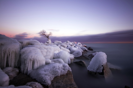 Frozen - Frozen, winter, nature, sky