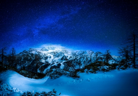 Starry Winter Night - sky, tree, night, stars