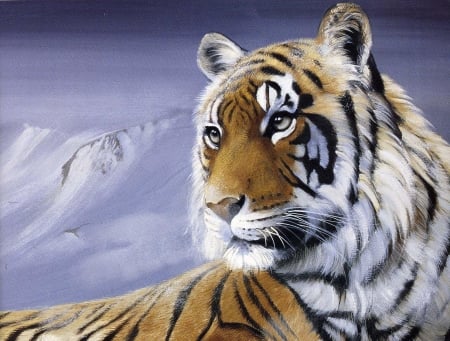 Face of tiger - predator, wild, snow, animal, tiger