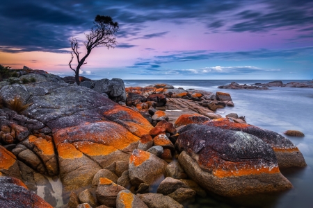 Rocky Beach - beach, nature, sunset, rocky