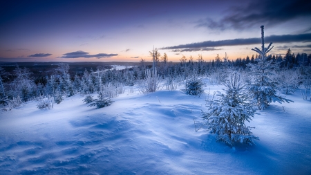 Winter - winter, sky, cloud, snow