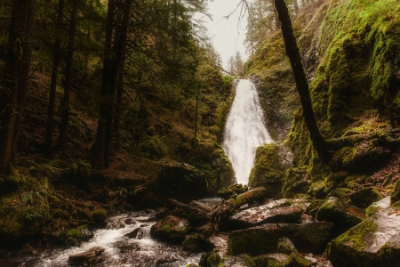 Waterfall - river, nature, Waterfall, tree, rocks