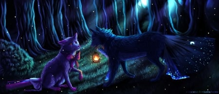 Please don't cry - light, magic, animals, darkness, fantasy, wolf, fox, forest, cry, lantern, enchanted