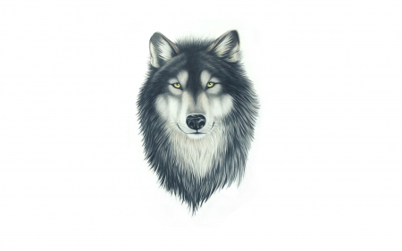 Wolf - minimalism, grey, white, animal, wolf, card