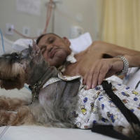 Dog gives comfort to ill owner