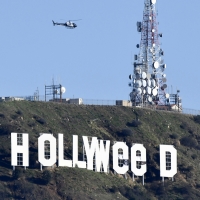 Hollyweed