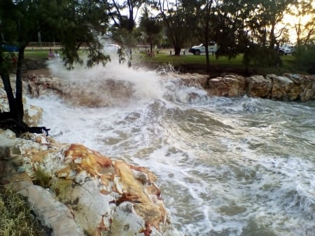 Cyclonic Seas - spray, waves, trees, rocks