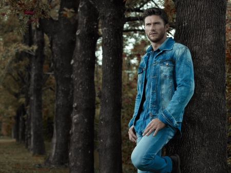 Scott Eastwood - forest, man, jeans, blue, actor, tree, scott eastwood, model