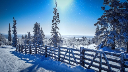 Winter landscape - sky, fence, trees, landscape, sun, winter, view, cold, snow, beautiful, frost