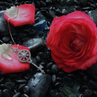 Droplets On Rose Petals