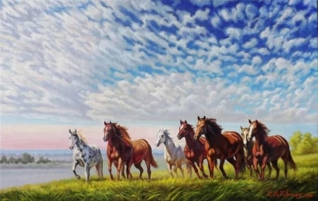 Horses running - run, animal, horse, wild