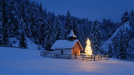 Winter Night - fire, forest, winter, trees, nature, night, wood, snow