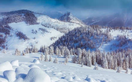 Winter - sky, winter, nature, mountain, snow