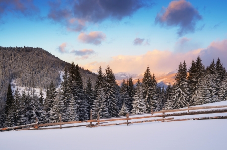 Winter in the mountains - winter, mountains, forest, snow