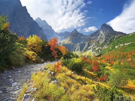 Tatra  Mountains - nature, lake, landscape, trees, forest, clouds, snow, mountains