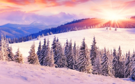 Winter sun - rays, sky, mountain, trees, landscape, hills, sun, winter, frost, snow, beautiful, beautidul