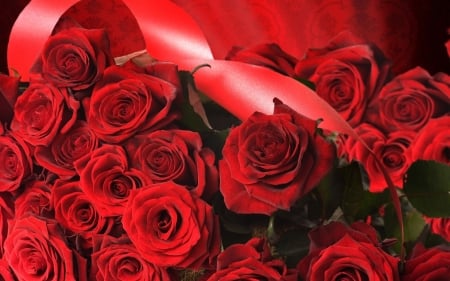 Roses - red, valentine, rose, card, flower