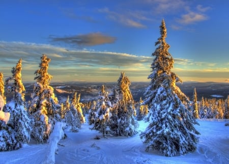 Ireland Winter Scene - sky, trees, clouds, snow, sunset