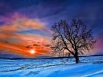 Winter Sunset