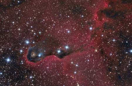 The Elephant's Trunk Nebula in Cepheus - space, fun, galaxies, stars, cool, nebula