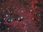 The Elephant's Trunk Nebula in Cepheus