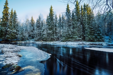 Winter - River, Forest, Winter, Snow