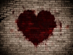 My bleeding heart