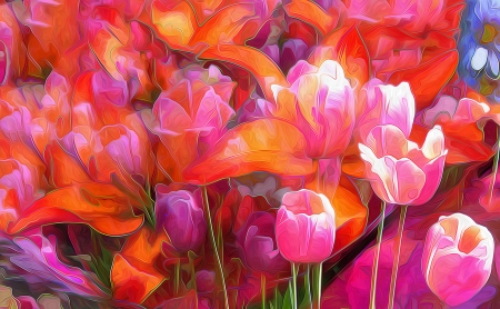 Flowers - spring, flower, pink, orange, tulip, pictura, painting, art, luminos