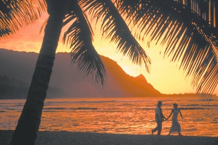 Paradise - summer, beach, sea, silhouette, love, orange, tree, palm, black, paradise, couple