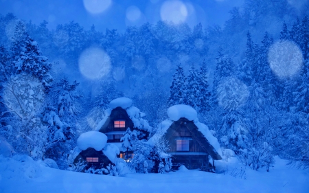 Winter houses