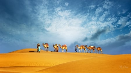 Desert Trek - sky, camels, trek, clouds, caravan, desert, sand, firefox persona theme