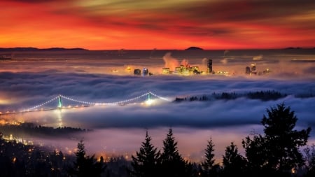 Fog On Vancouver, Canada - trees, nature, fog, city, night, houses, light, bridge